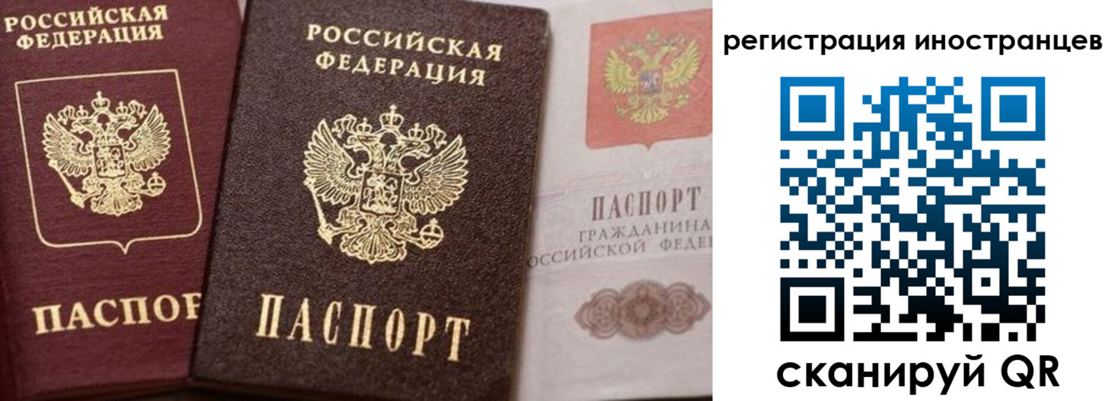временная регистрация купить в Фокино
